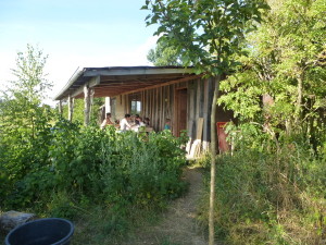 Sommerküche auf dem Permakuturhof Stein-Häger