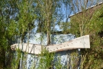 Hoffotos19